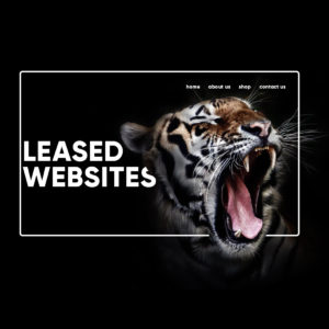leased_websites